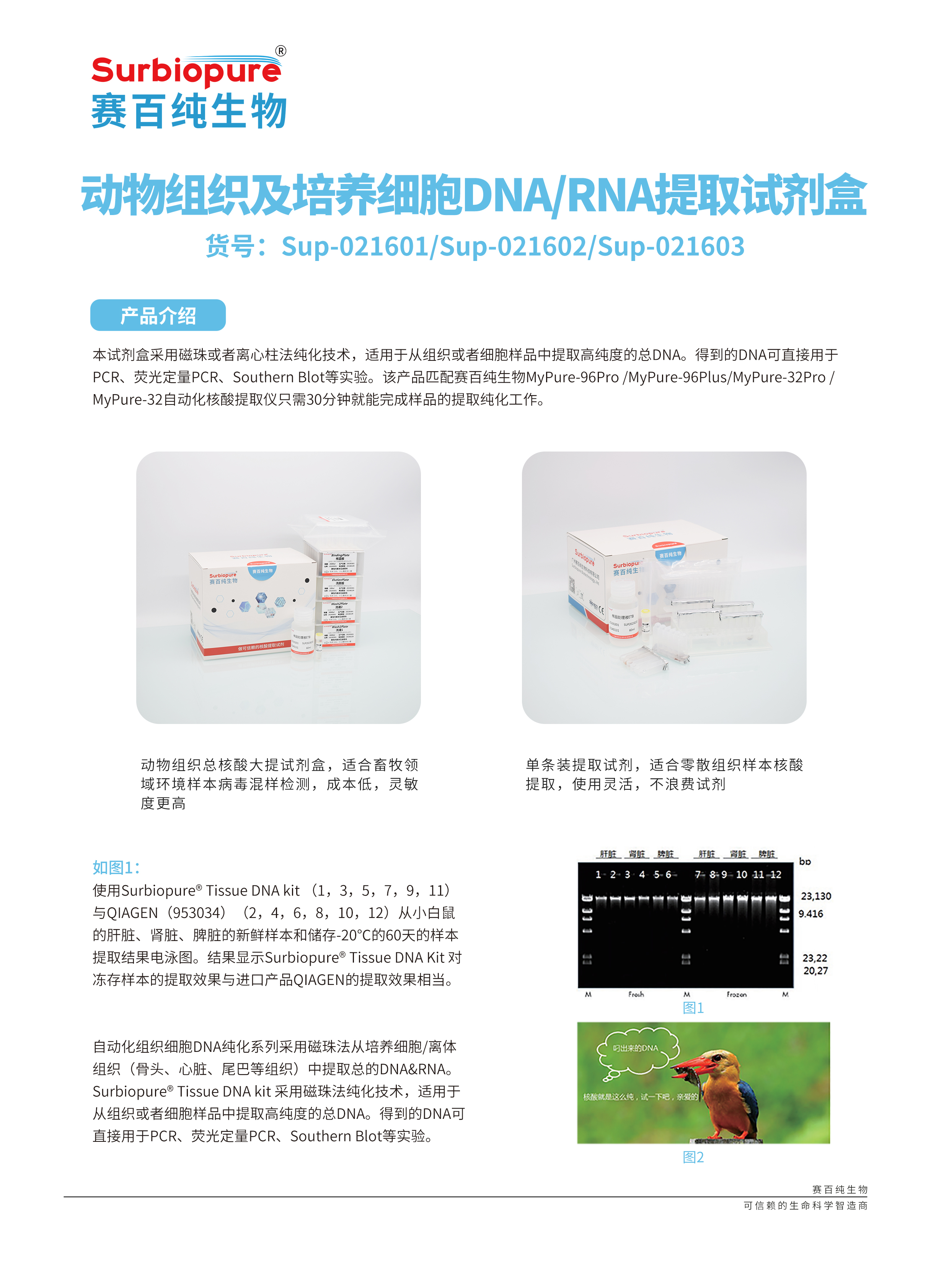 畫闆 23.jpg